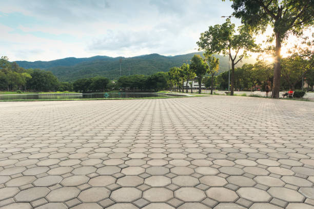 Best Custom Driveway Pavers  in Shaw, MS